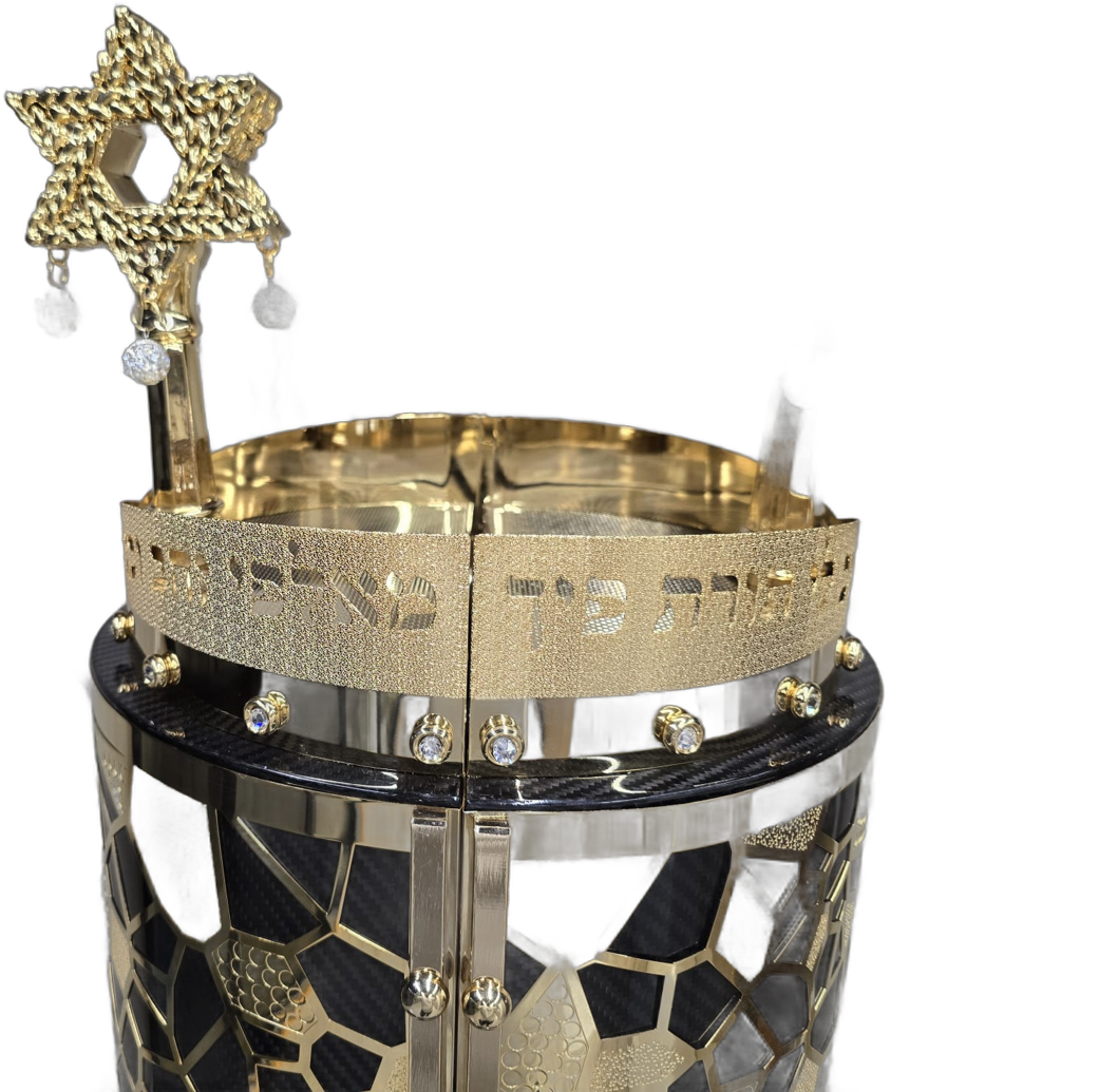 Gold-tone geometric carbon Torah case — Star of David ornaments — close-up